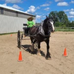 driver-training-2 driver-training-2