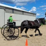 driver-training-3 driver-training-3