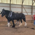 driver-training-4 driver-training-4