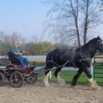 driver-training-5 driver-training-5