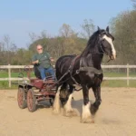 driver-training-6 driver-training-6