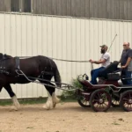 driver-training-8 driver-training-8